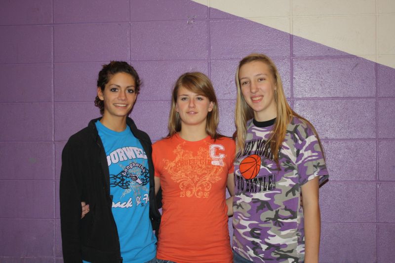 Burwell Public Schools Goldenrod Conference Volleyball Honors